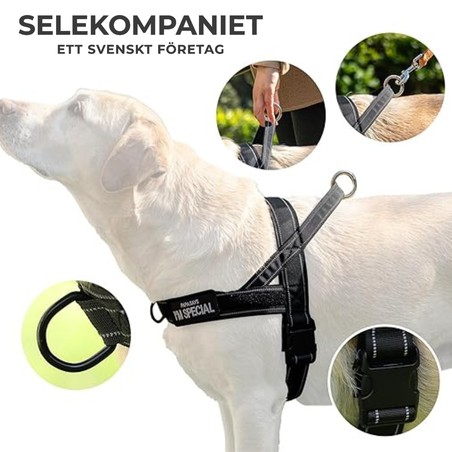 Anti-Drag Sele 2.0, Lugna Promenader Börjar Här!