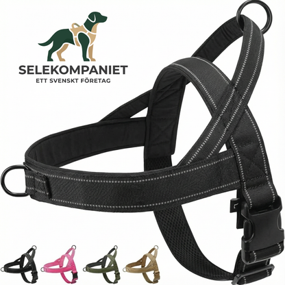 Anti-Drag Sele 2.0, Lugna Promenader Börjar Här!