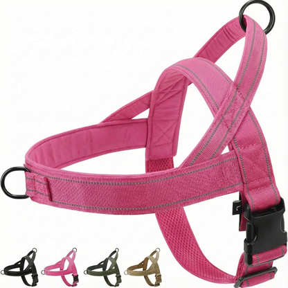 Anti-Drag Sele 2.0, Lugna Promenader Börjar Här!