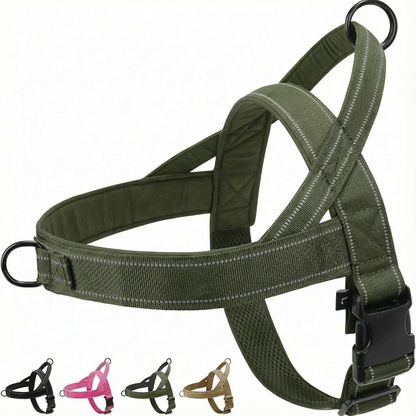 Anti-Drag Sele 2.0, Lugna Promenader Börjar Här!